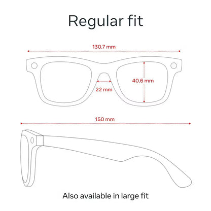 Flex™ Smart AI Glasses